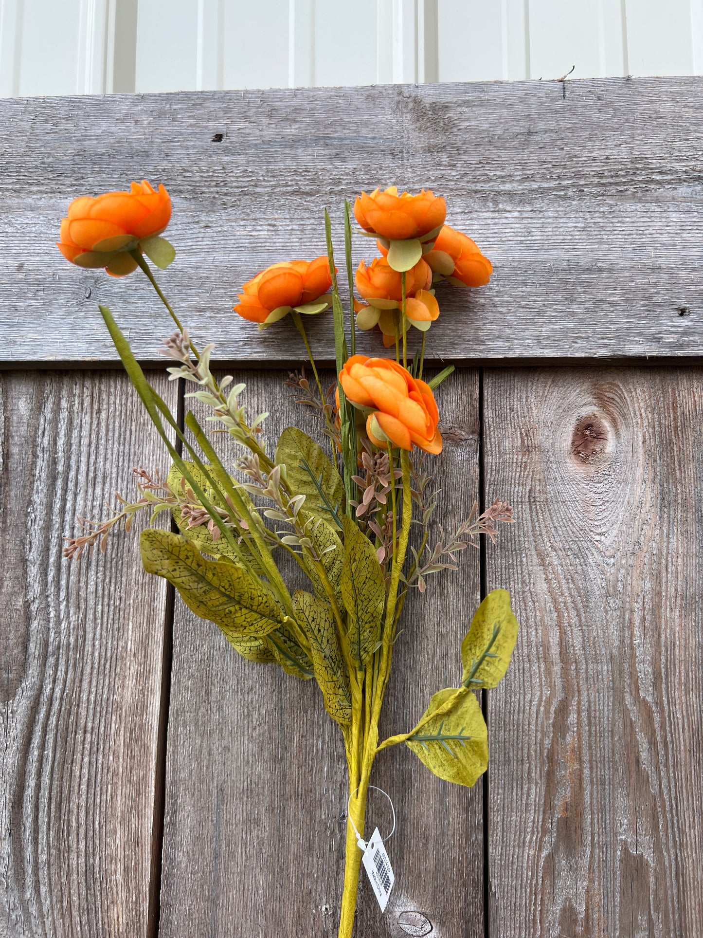 MIXED RANUNCULUS BUSH 40314-OR
