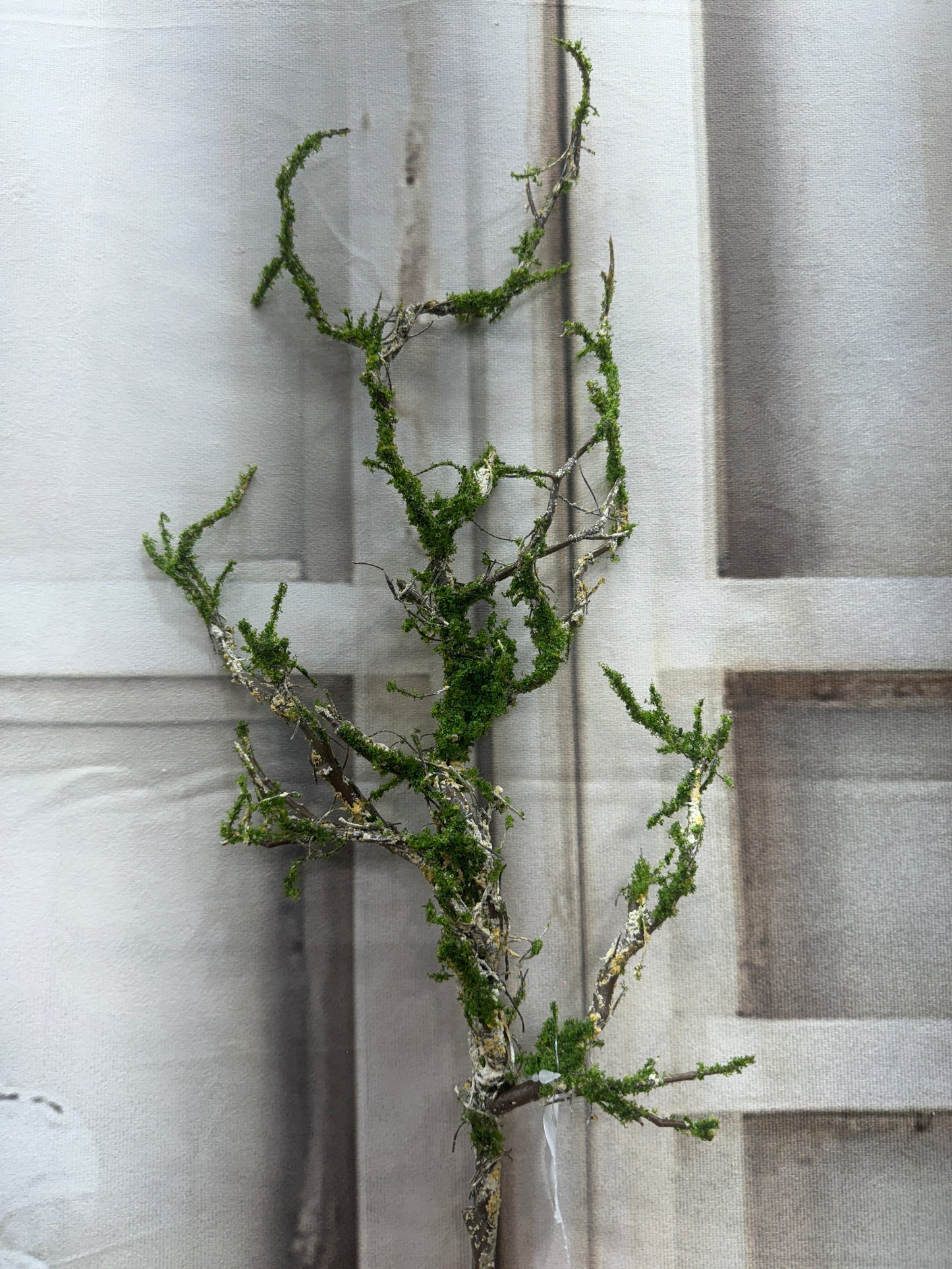 TWIG SPRAY W/MOSS FT1805