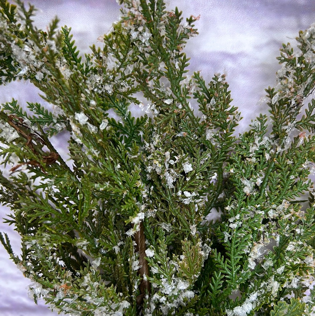 FROSTED CEDAR WITH BIRDNEST SPRAY 20" MTX45511