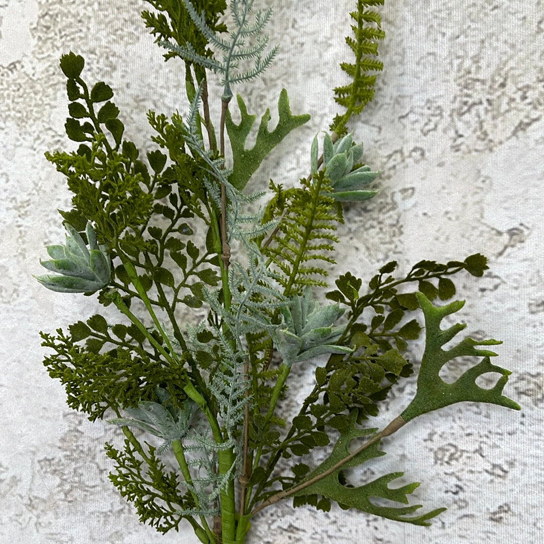 Succulent Lvs Spray 62270SP28
