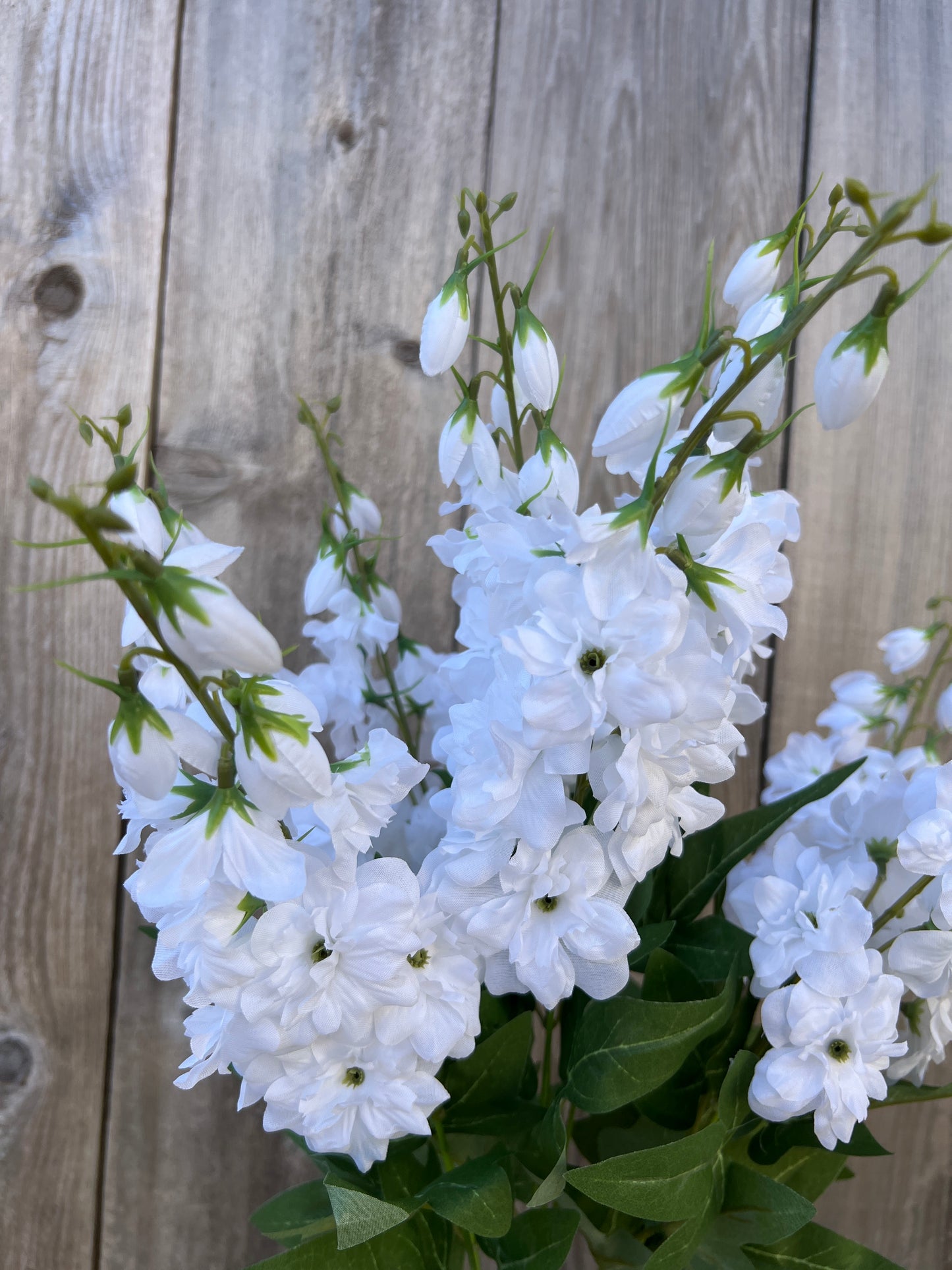 DELPHINIUM BUSH 83439-WT