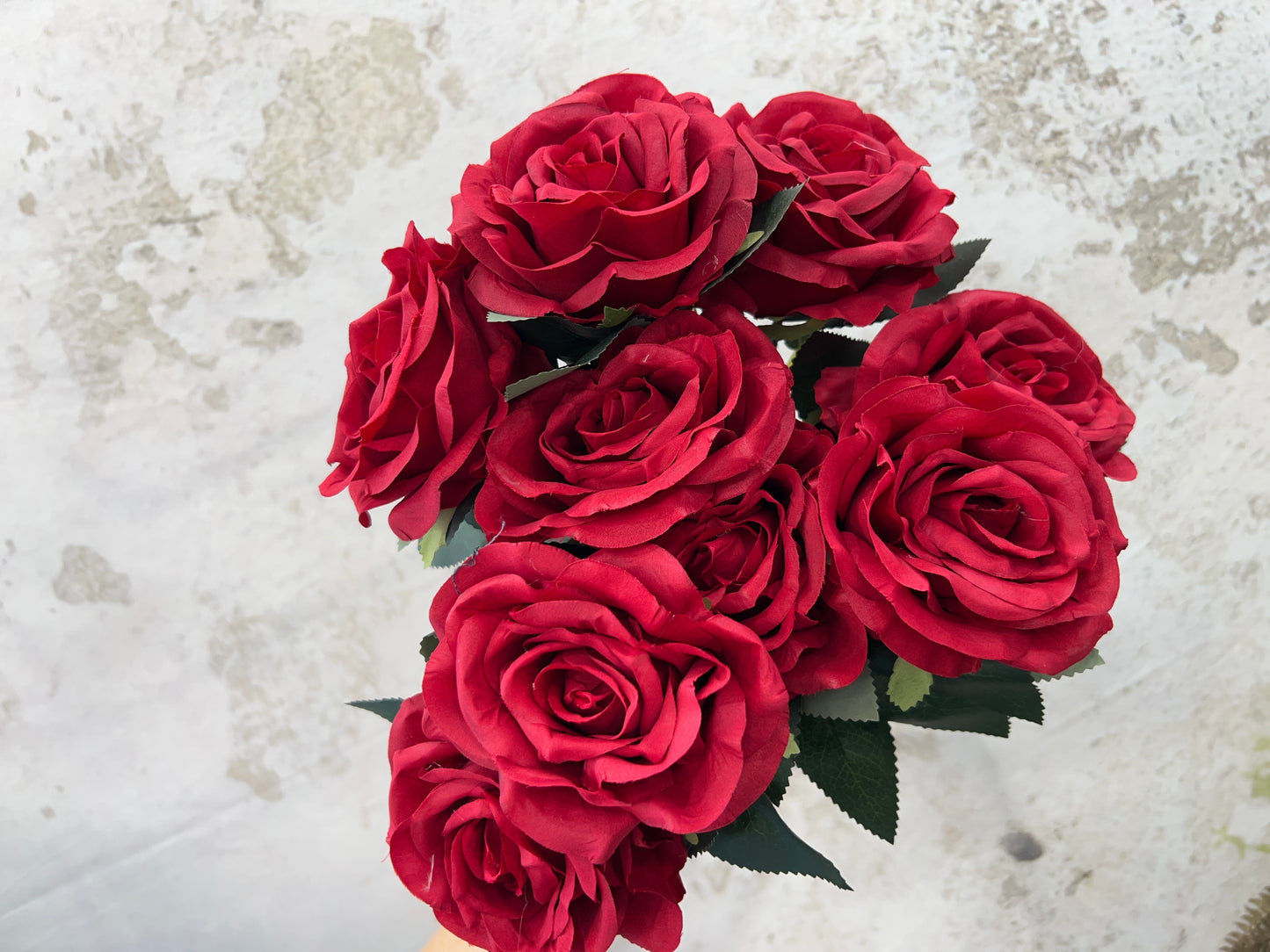 ROSE BUSH 84887-RD