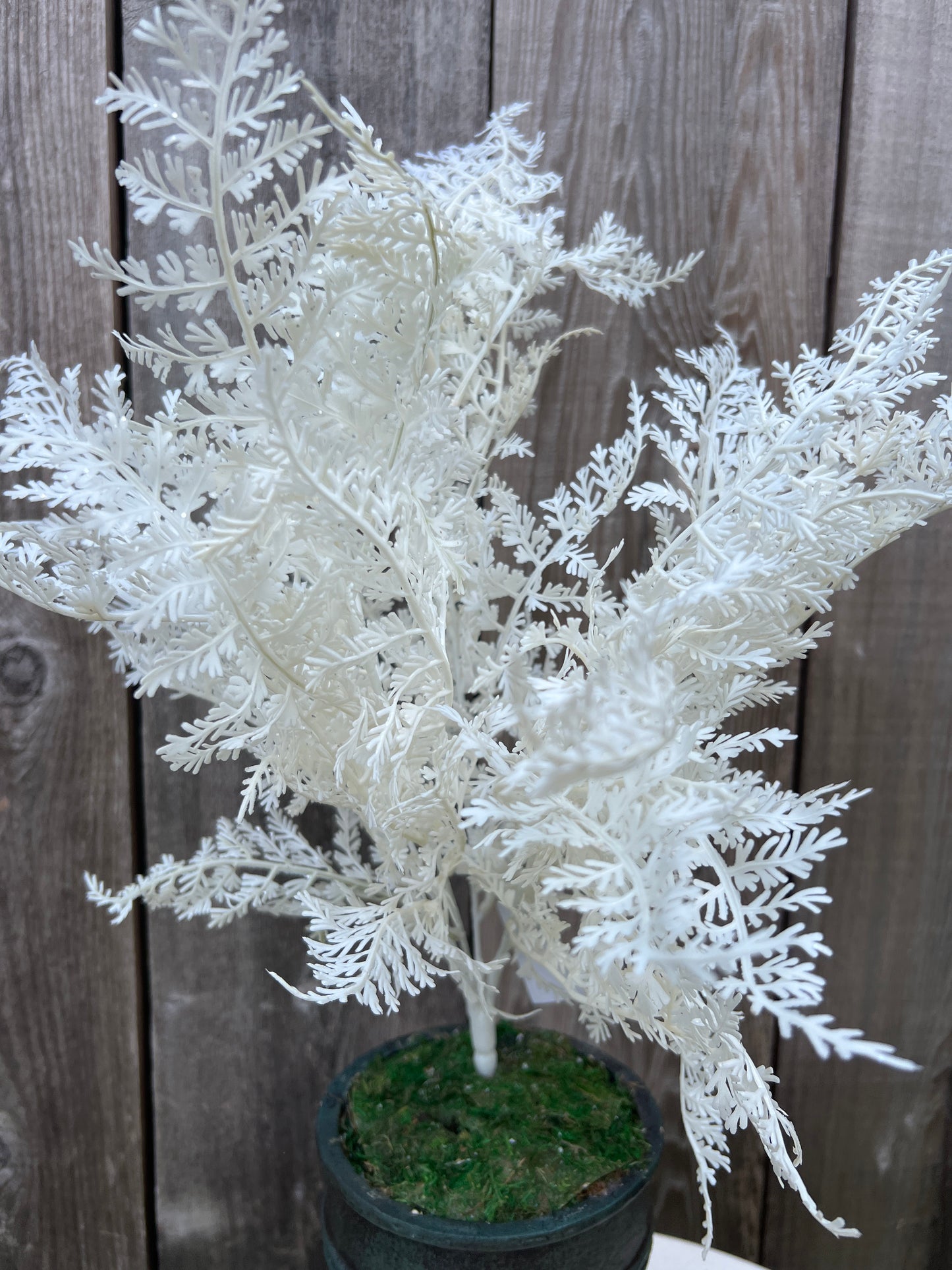 FERN BUSH X 5 W GLITTER 85268-WT