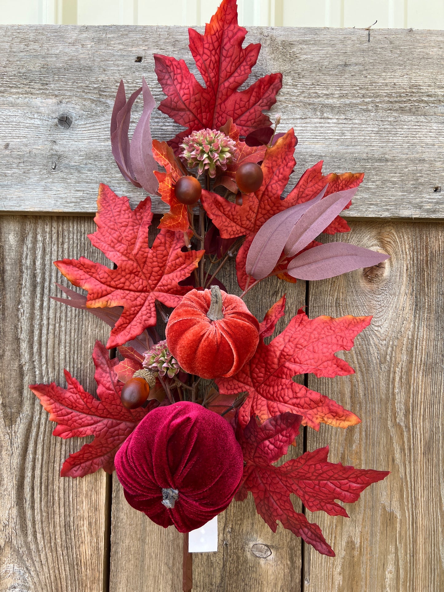 PUMPKIN MAPLE 85296