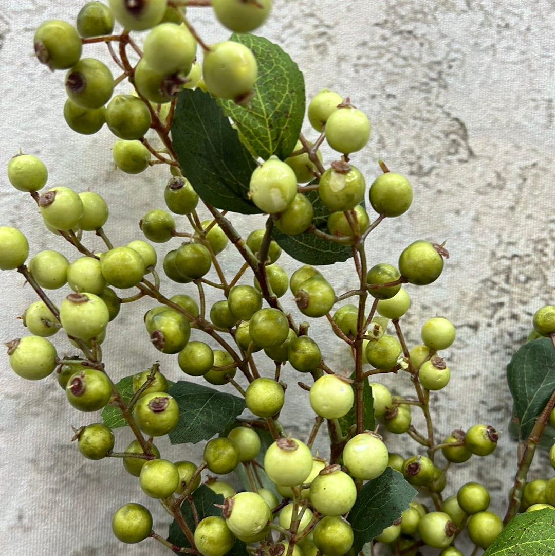 BERRY SPRAY 82592-GN