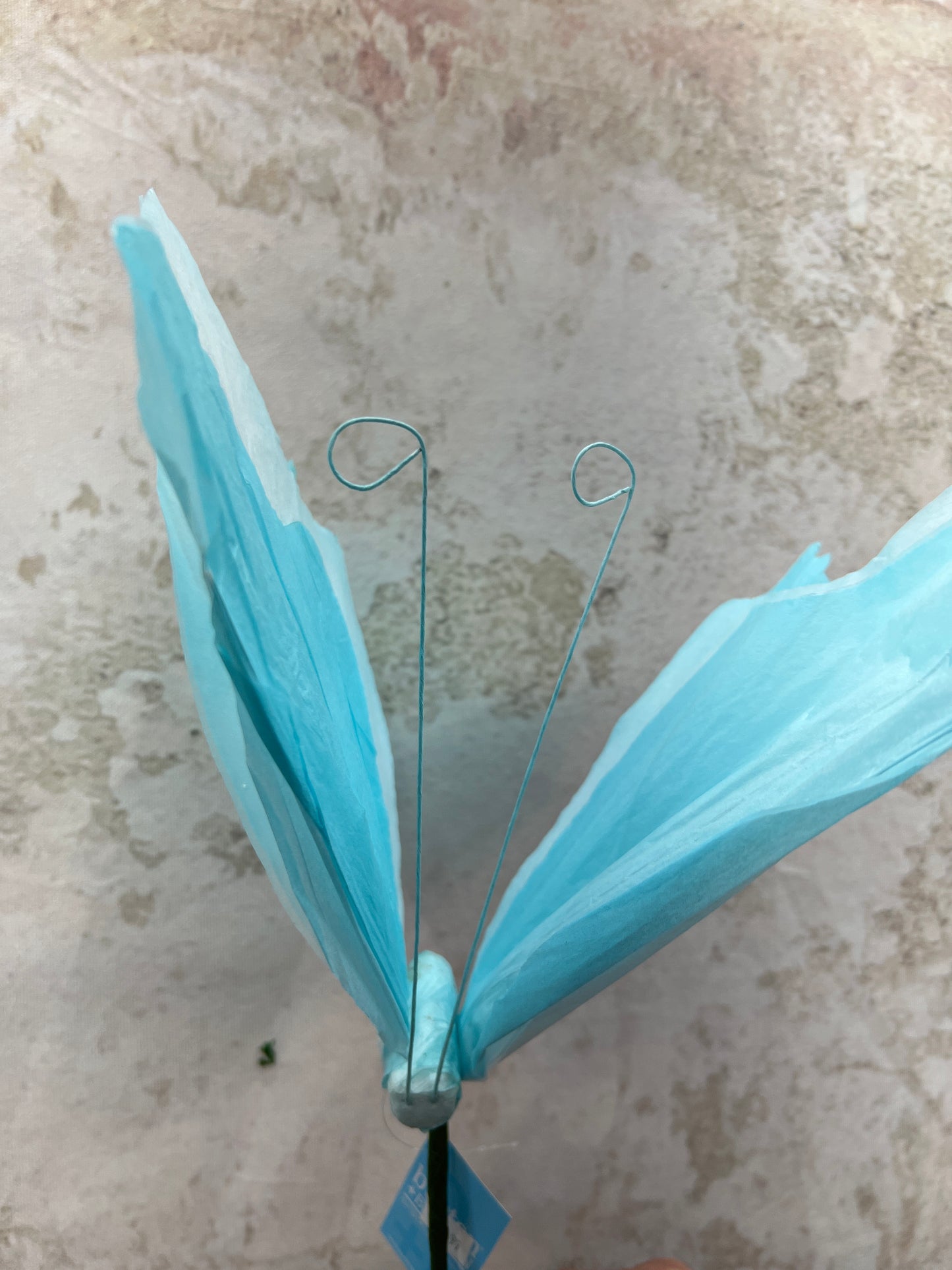 PAPER BUTTERFLY PICKS 9749833