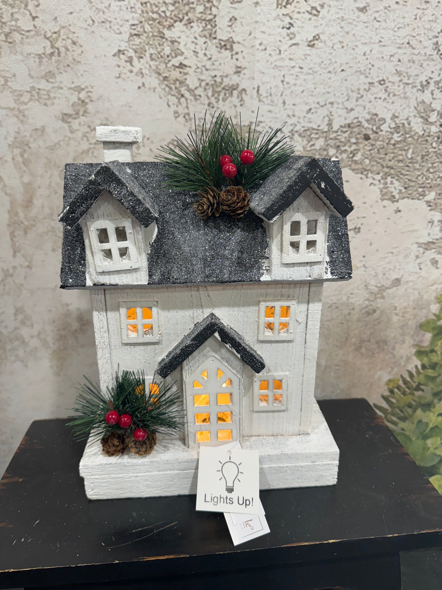 Black and White House SA10543