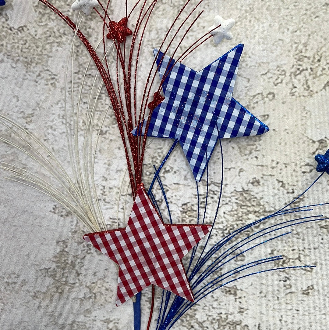 Gingham Star Spray 74187RWB