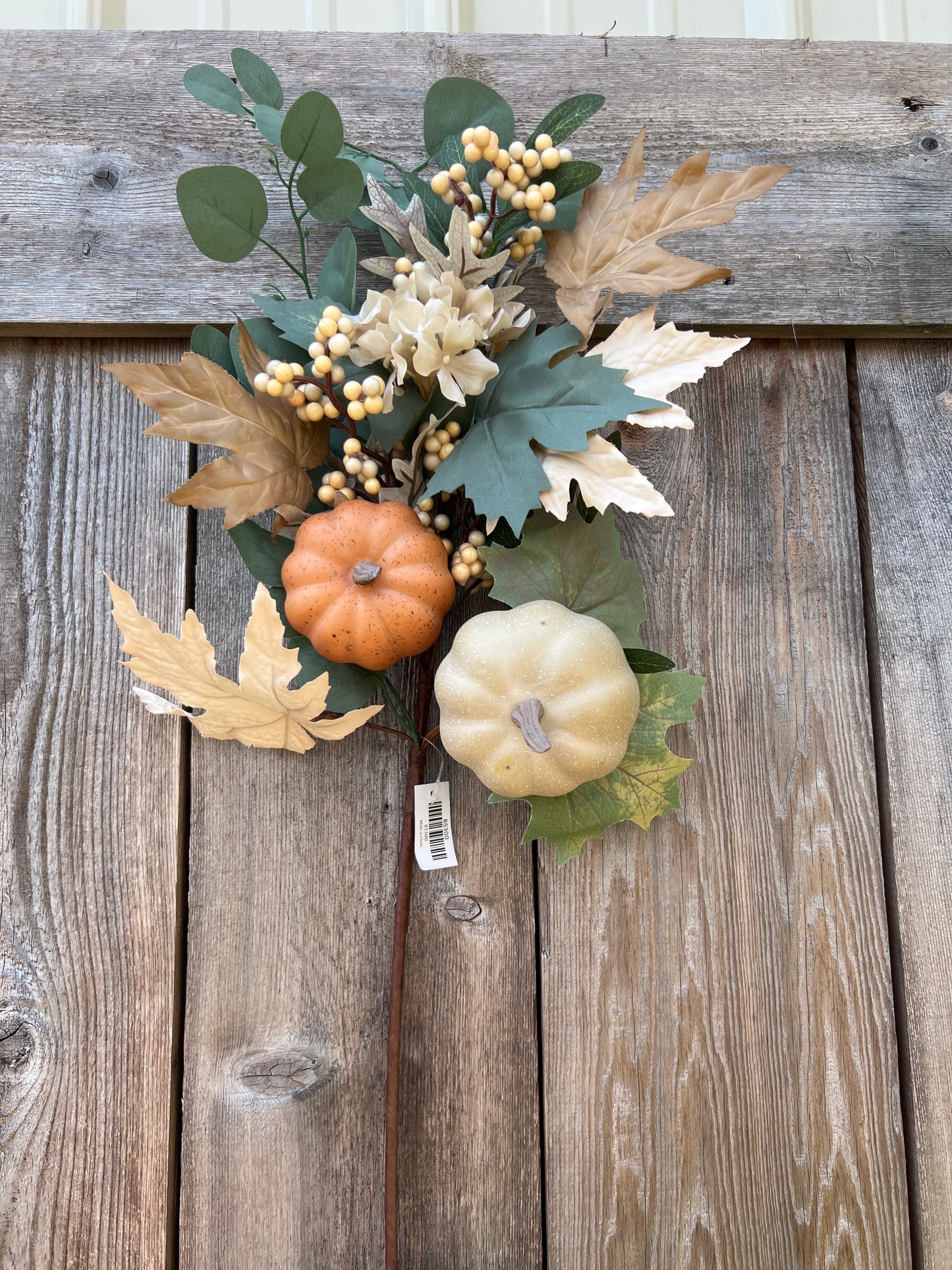 PUMPKIN HYDRANGEA 85300