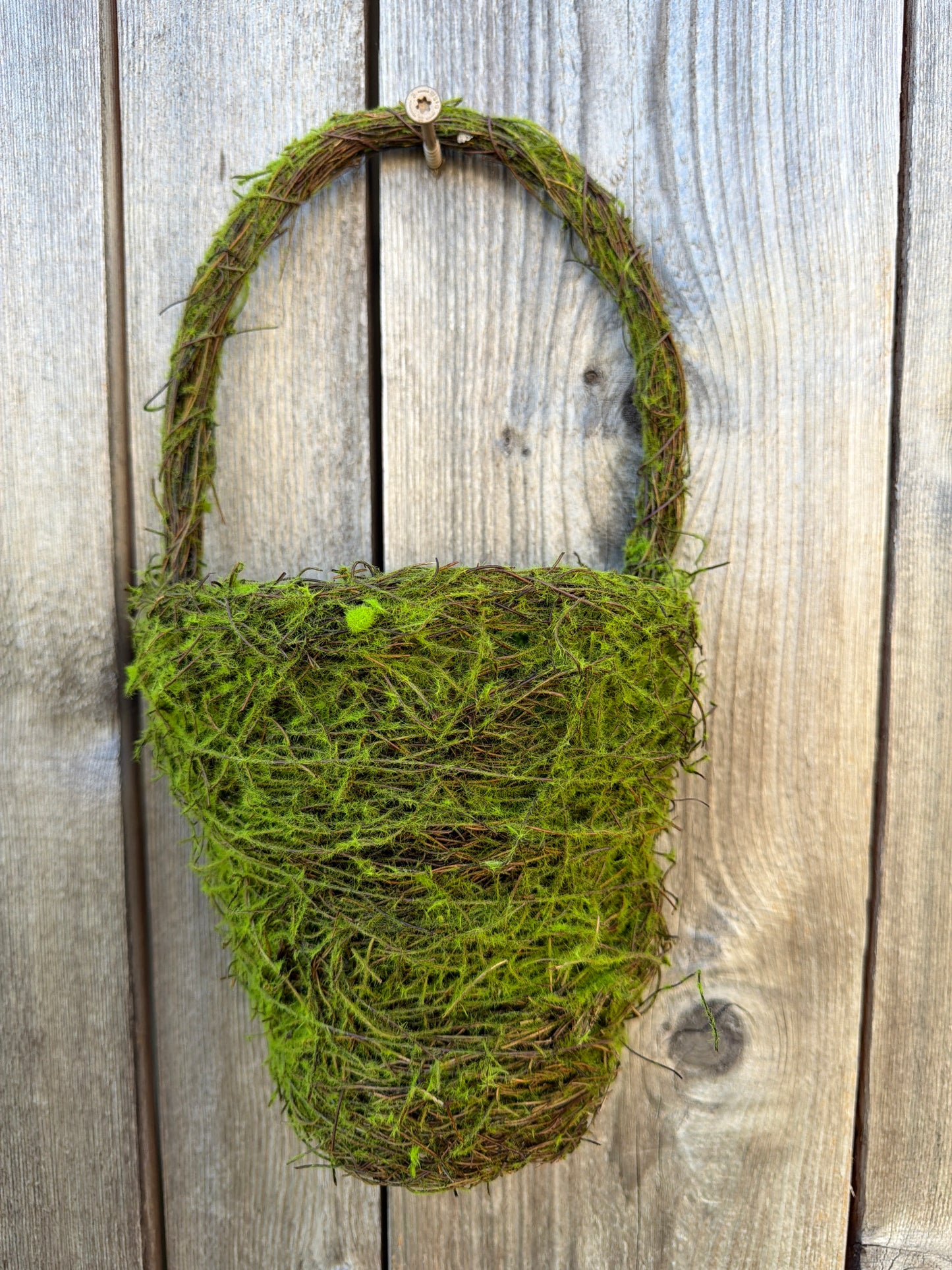 Moss Half Basket Set Of 2 62066SET
