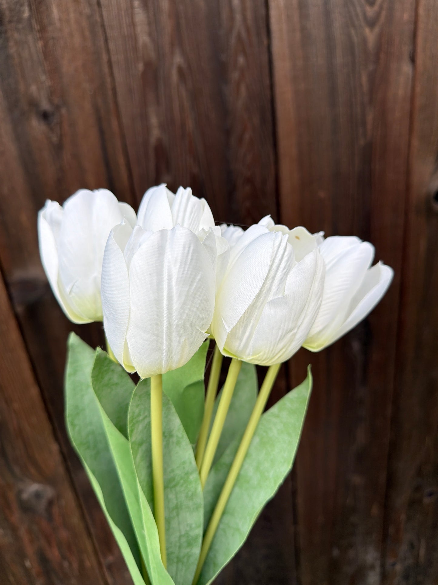TULIP BUNDLE 85640-CR