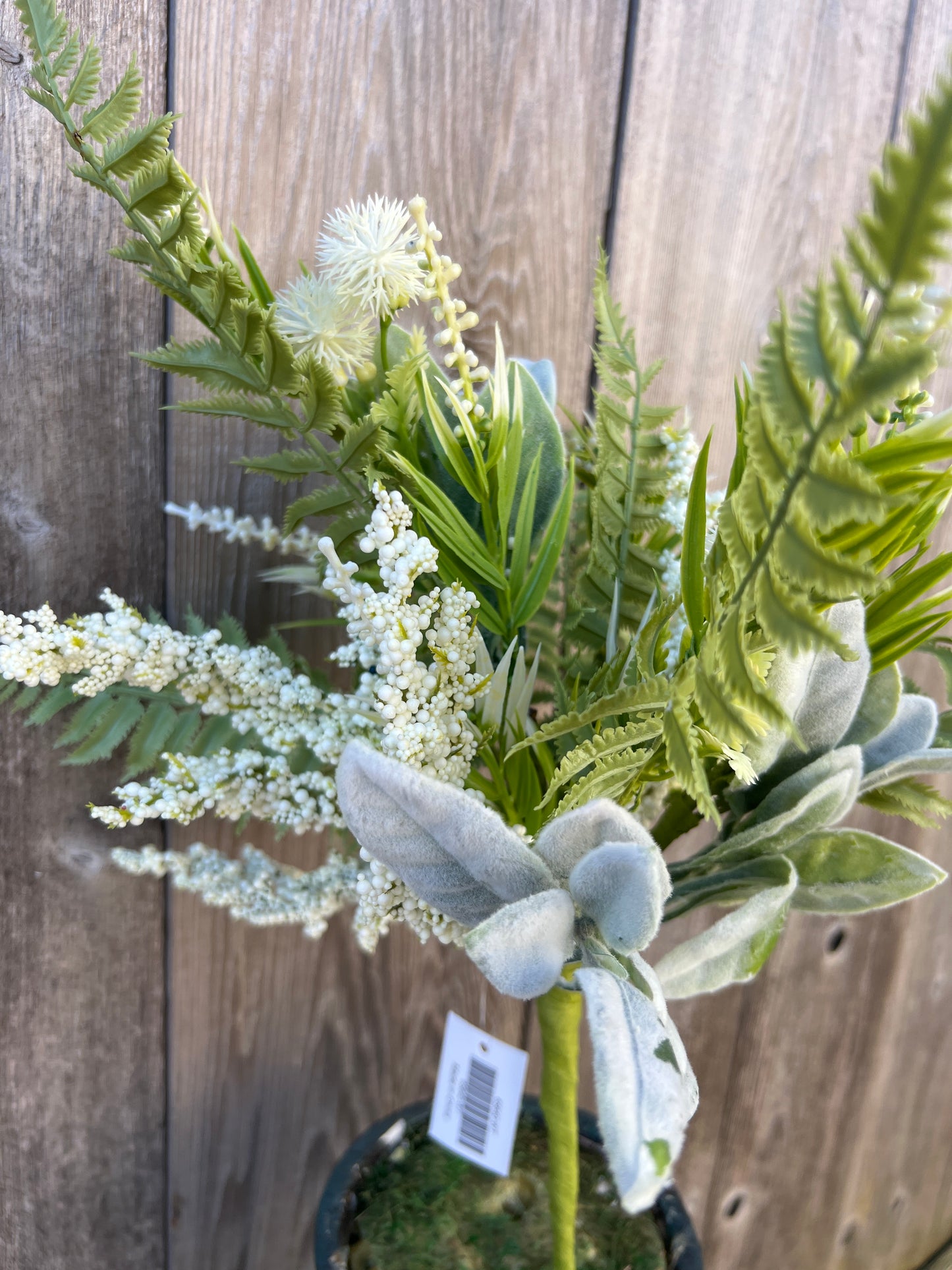 MIXED GLOBE THISTLE 65640-WT