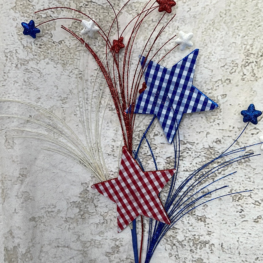 Gingham Star Spray 74187RWB