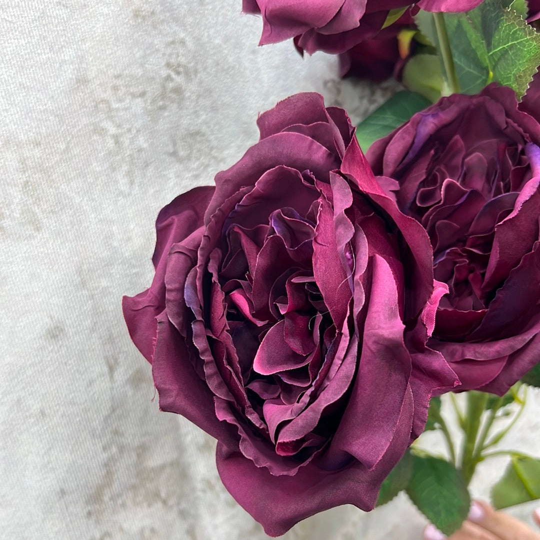 ENGLISH GARDEN ROSE 81105-BG