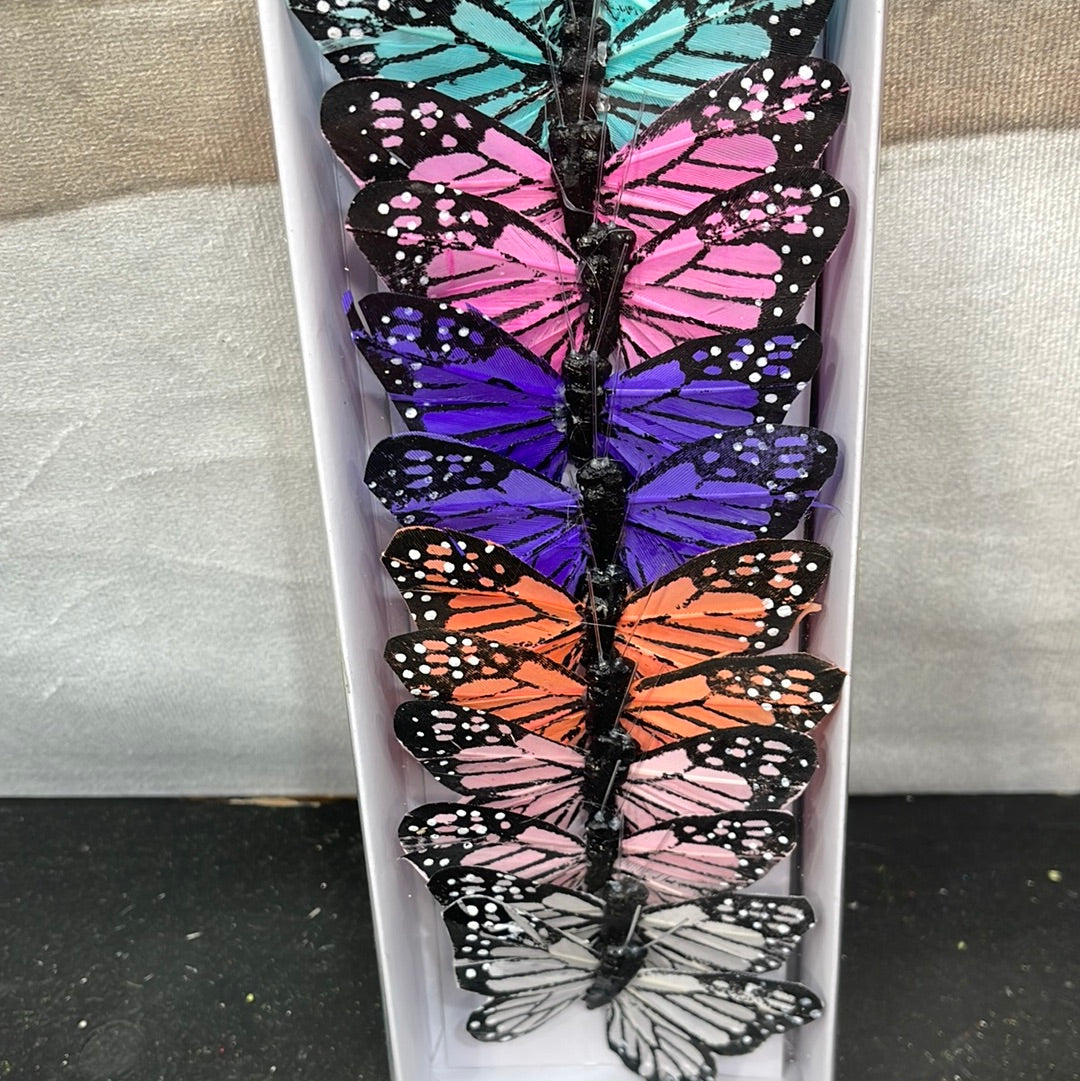 Monarch Ast Pastel PRBF4085