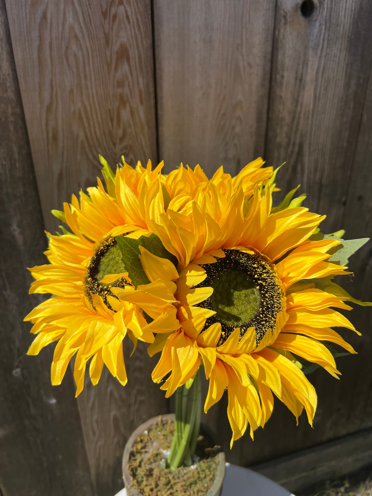 Sunflower Bouquet SB552244-005