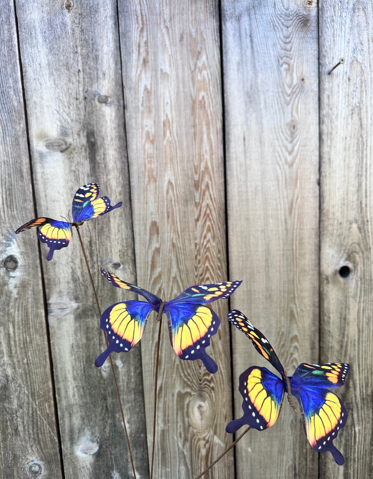 Pur/Yel Butterfly Spray 89229