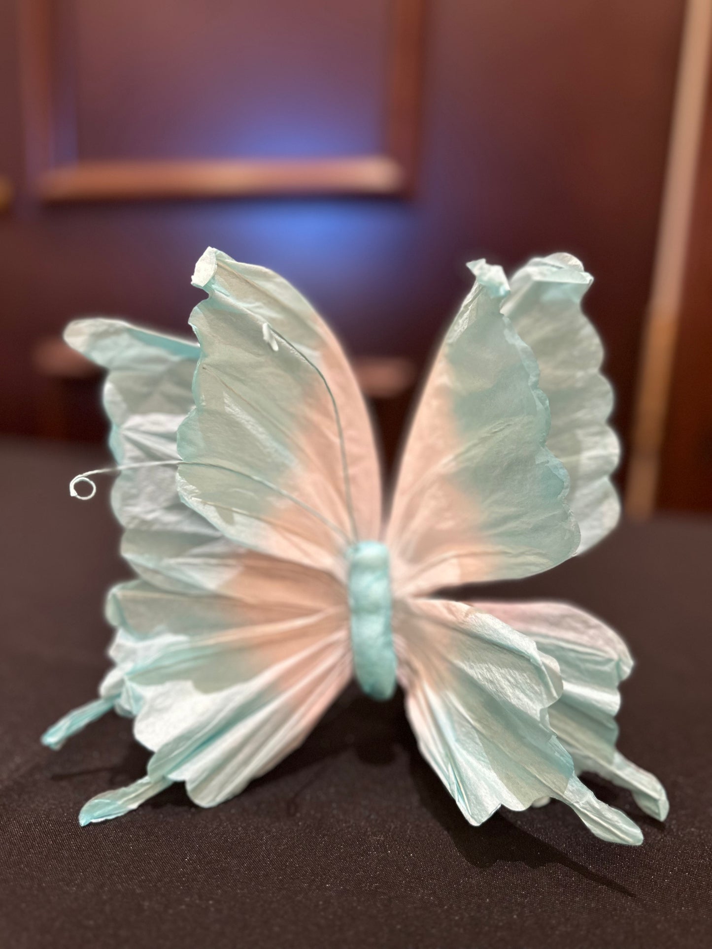 Pick paper butterfly 9749831