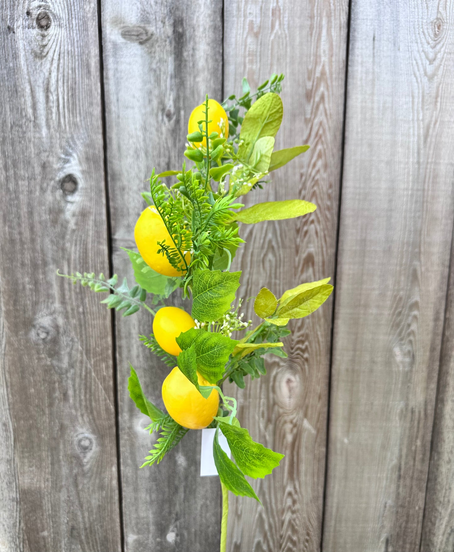LEMON SPRAY 62218