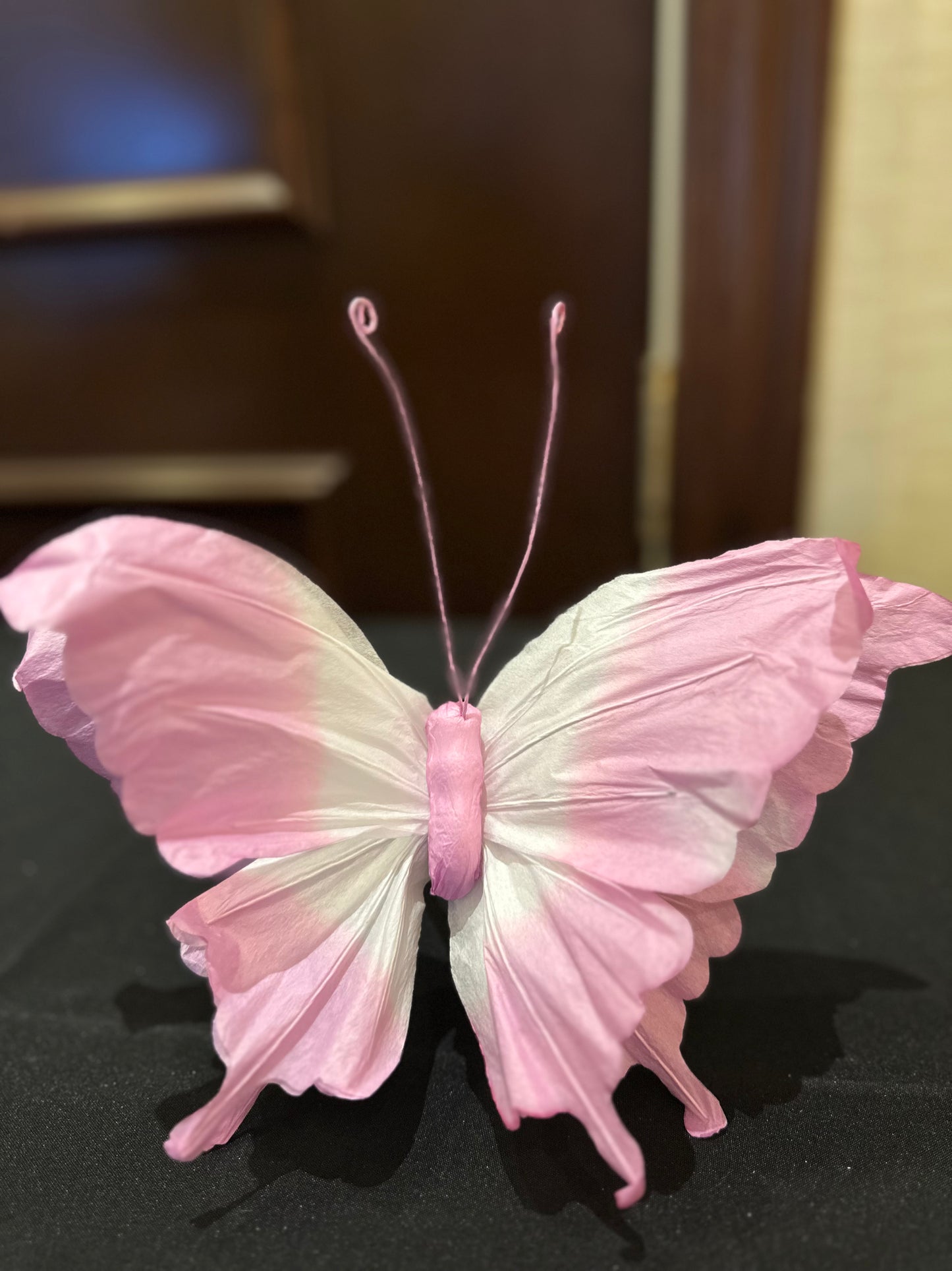 Pick paper butterfly 9749831