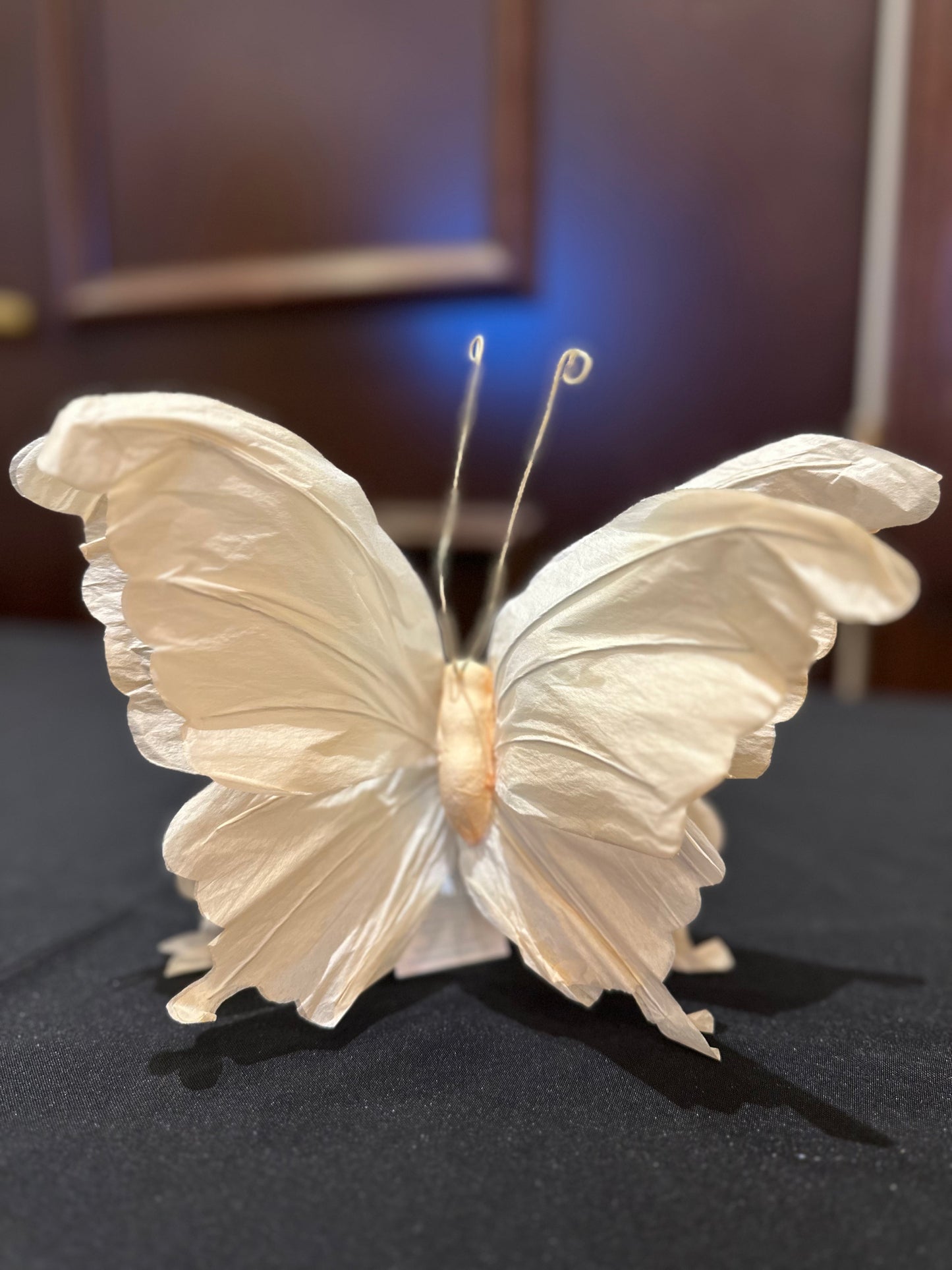 Pick paper butterfly 9749831