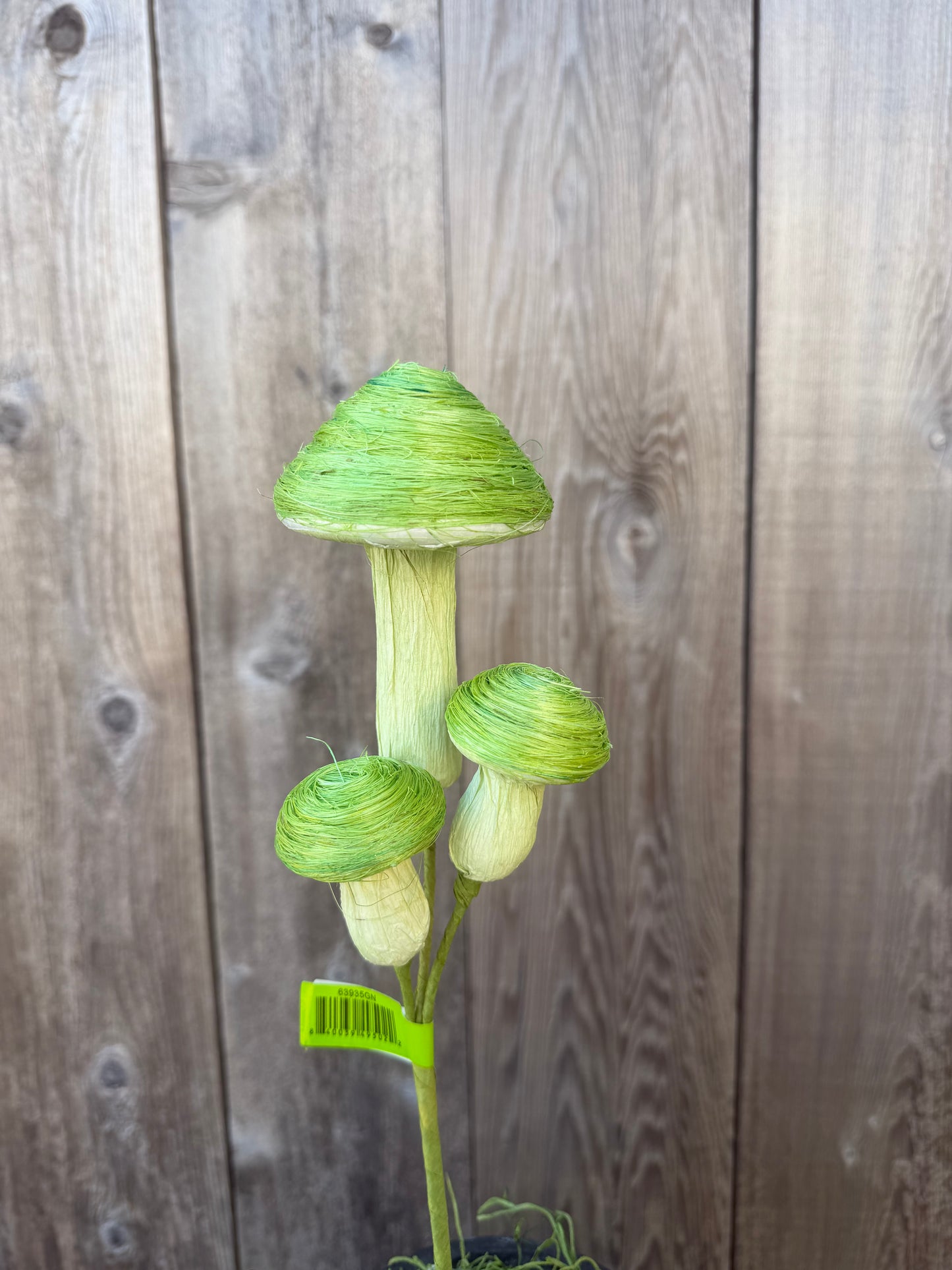 Sisal Mushroom Pick 63935GN