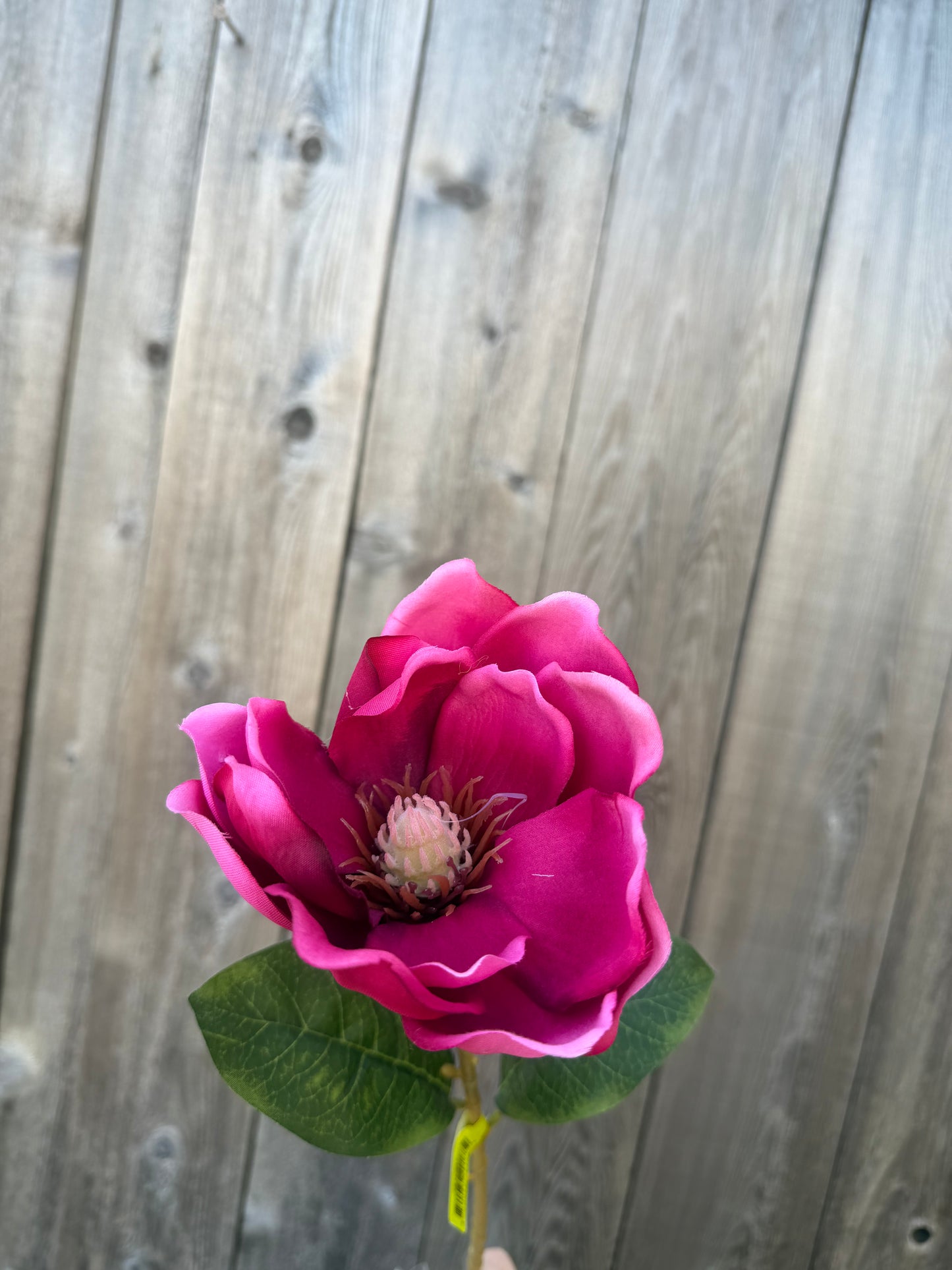 Magnolia Stem 29479BT