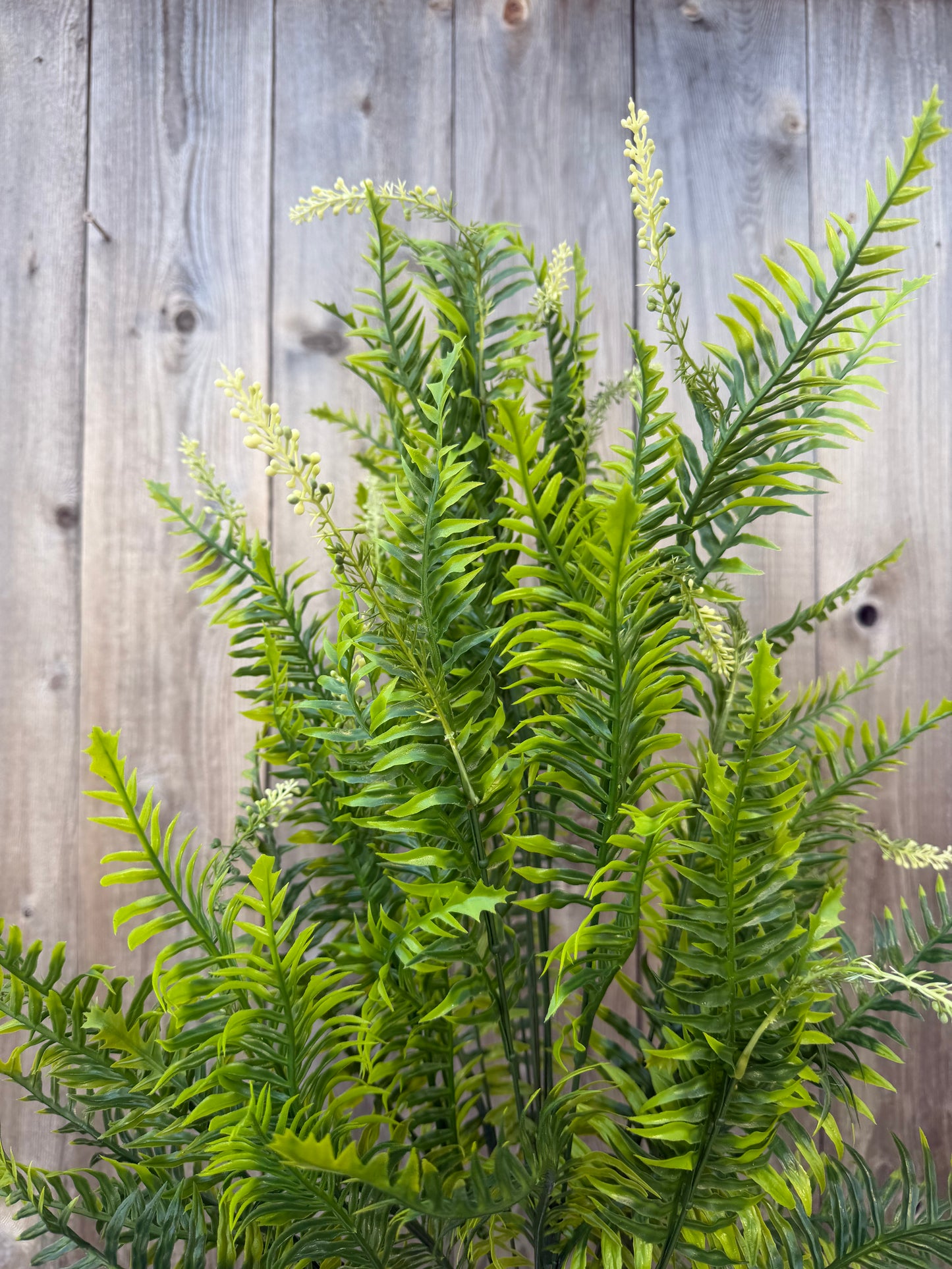 PLS LG MX FERN GRN 57201