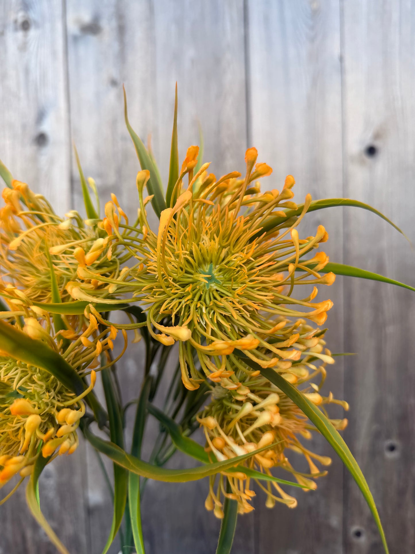 SPIDER MUM 57374