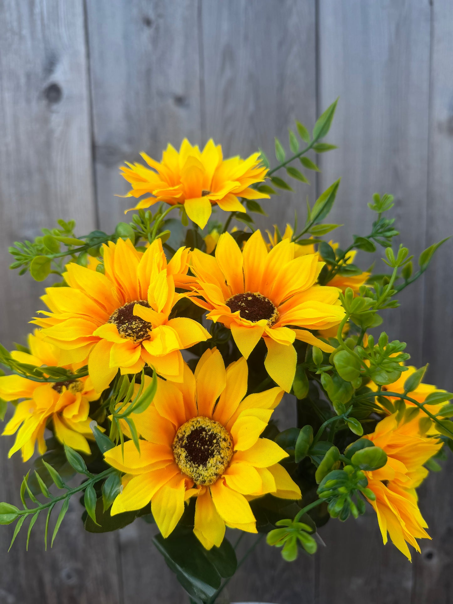 SUNFLOWER BUSH 37352