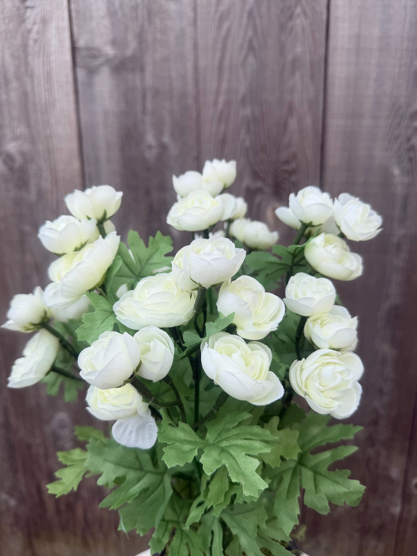 MINI RANUNCULUS BUSH 84055-CR