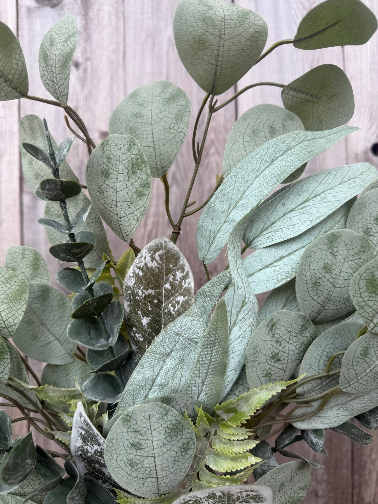 EUCALYPTUS SPRAY 61159