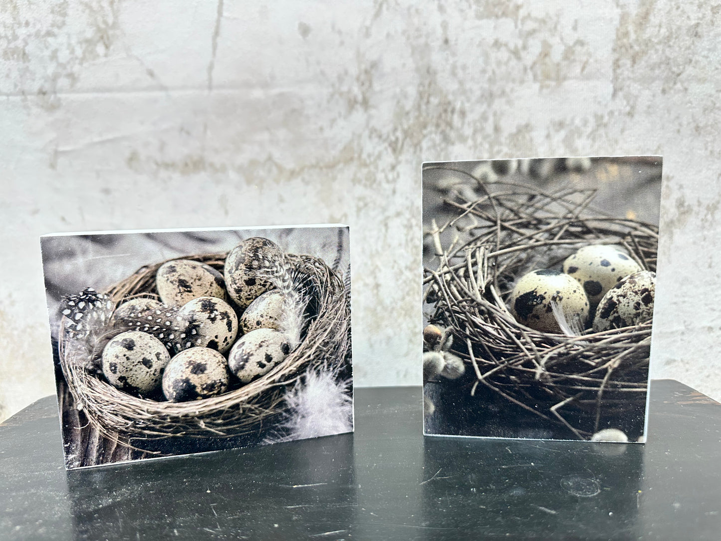 Nest with Egg Blocks (Set of 2) T5110