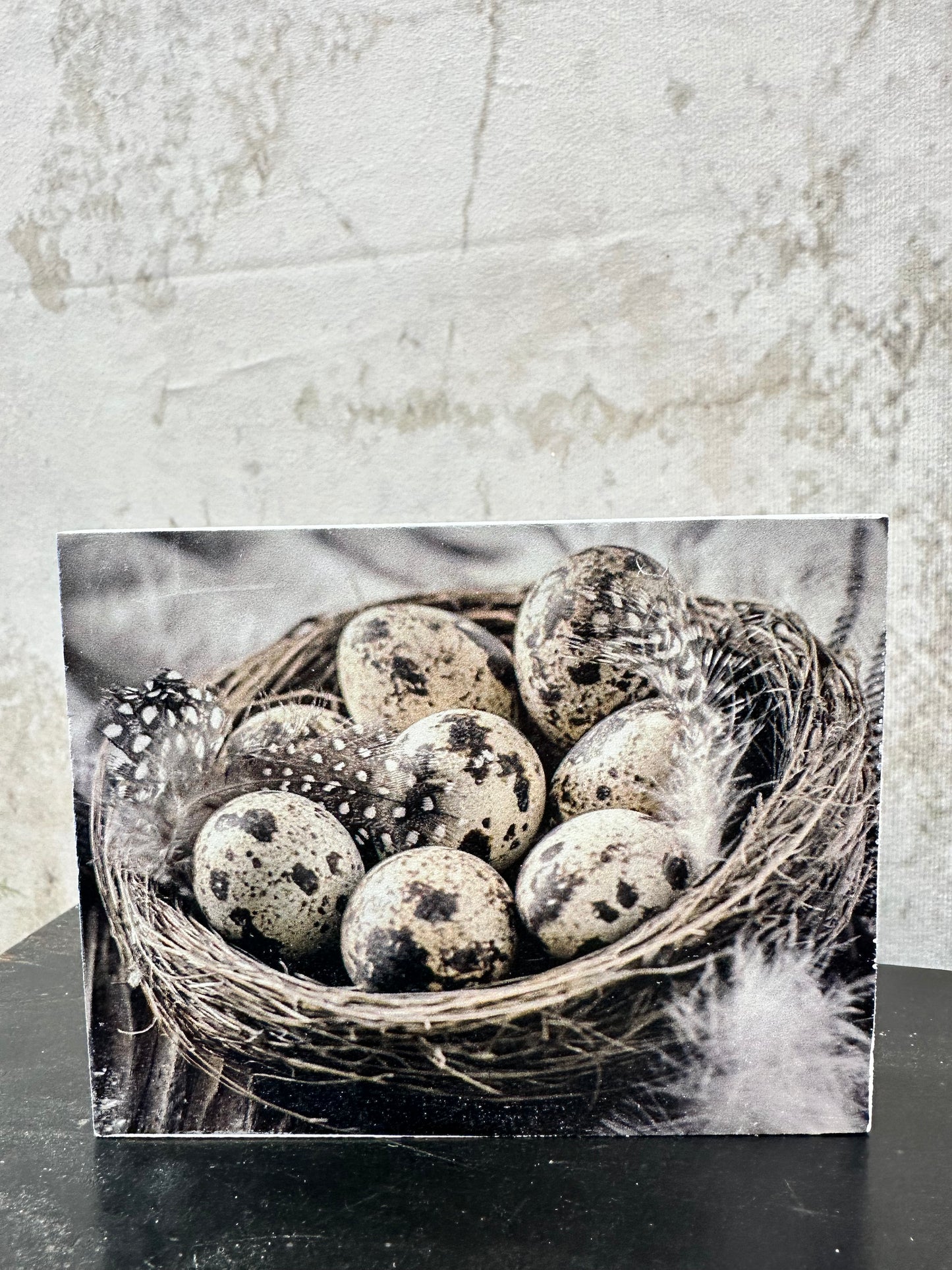 Nest with Egg Blocks (Set of 2) T5110