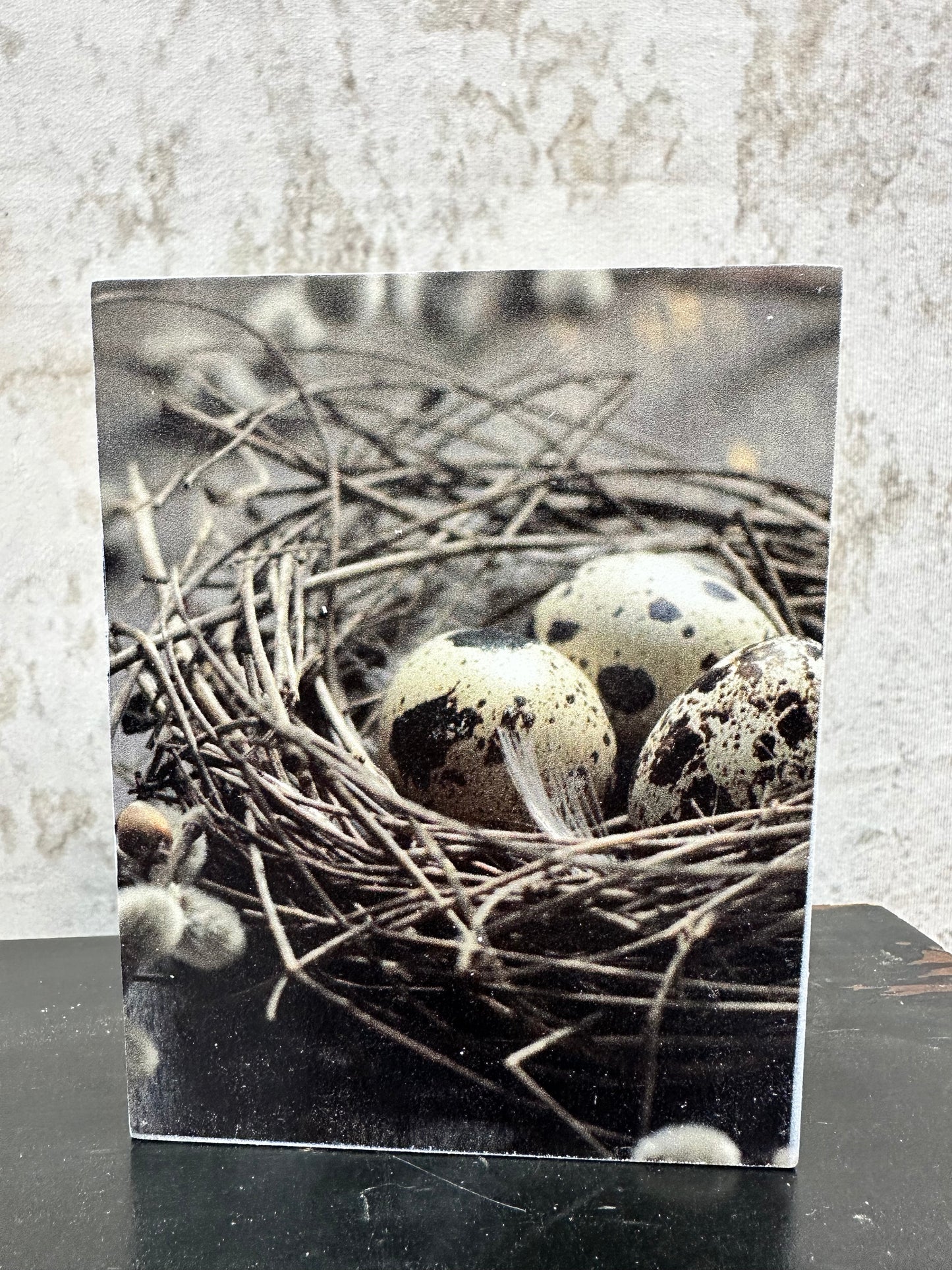 Nest with Egg Blocks (Set of 2) T5110