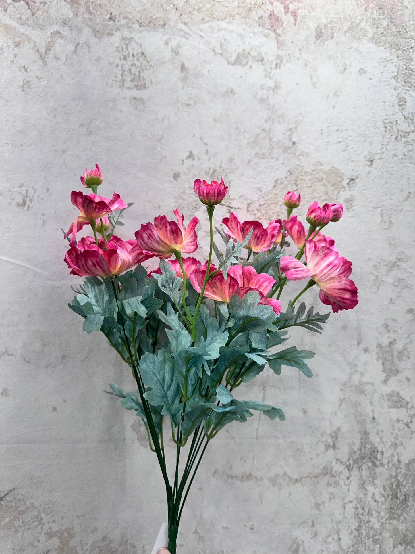 COSMOS BUSH 84299-BTY