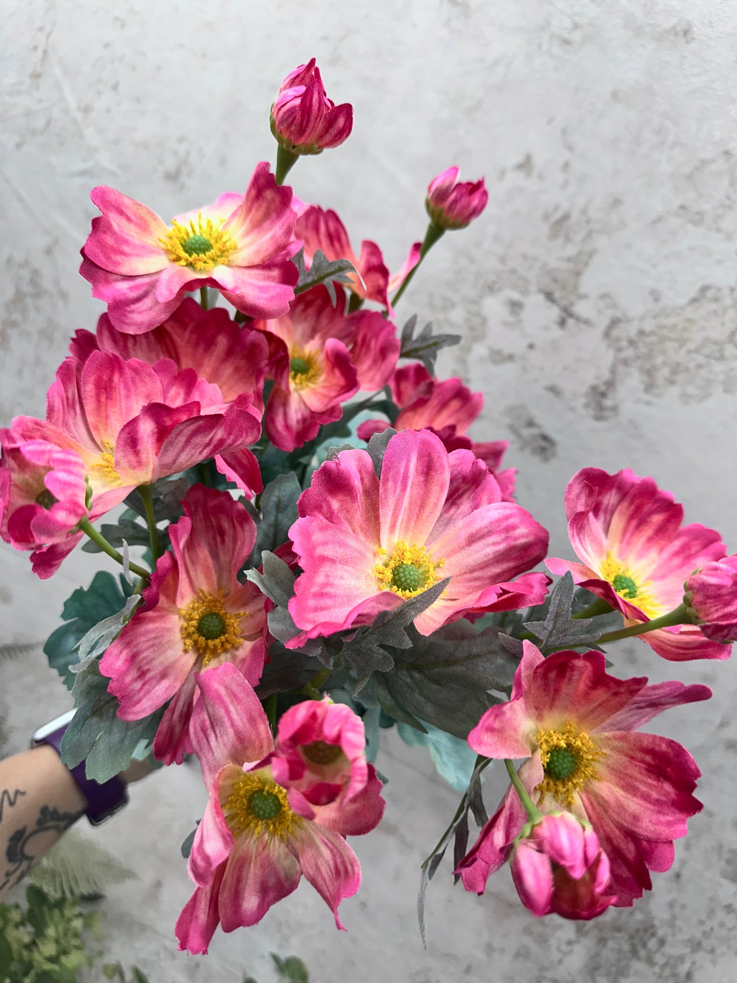 COSMOS BUSH 84299-BTY