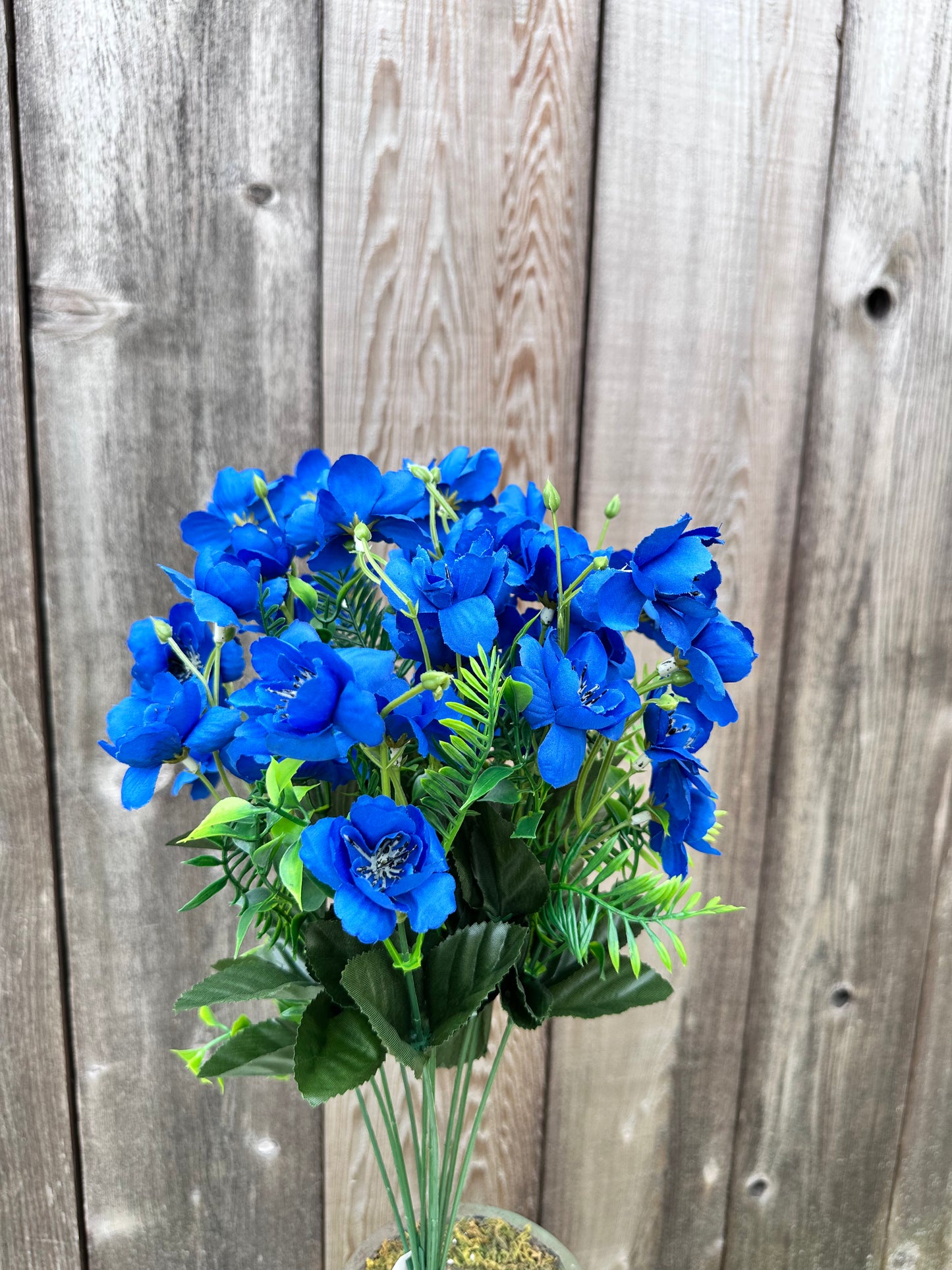 APPLE BLOSSOM BUSH BLUE 55164