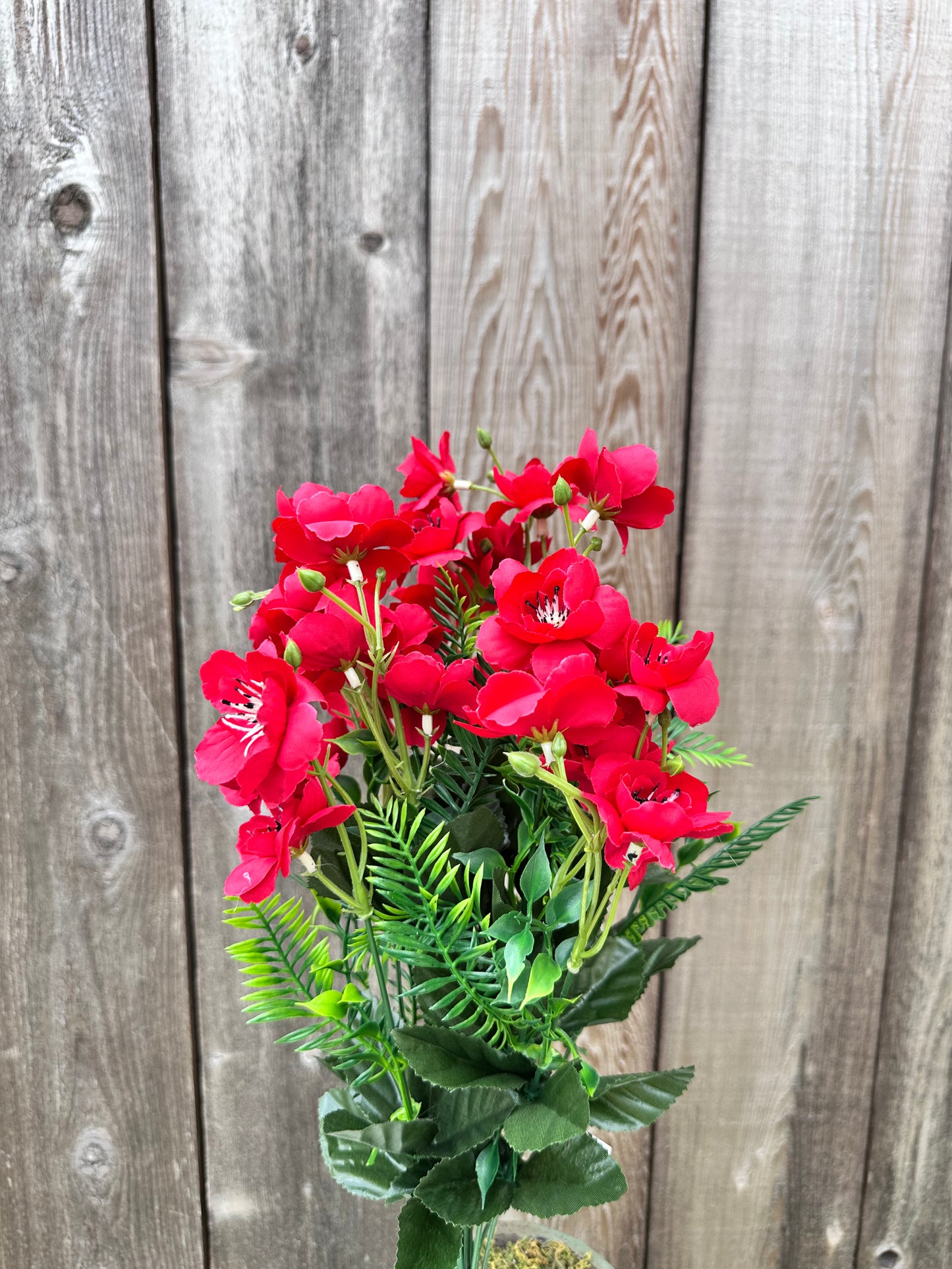 APPLE BLOSSOM BUSH RED 55167
