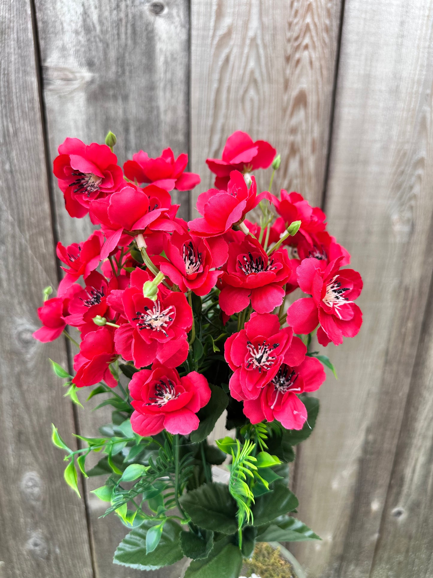 APPLE BLOSSOM BUSH RED 55167