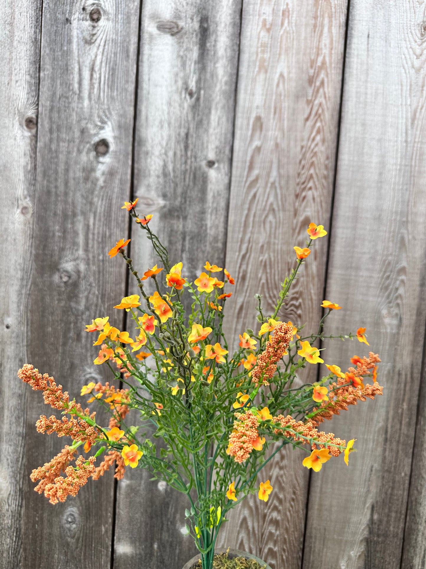 Baby's Breath Filler Bush 30356OR