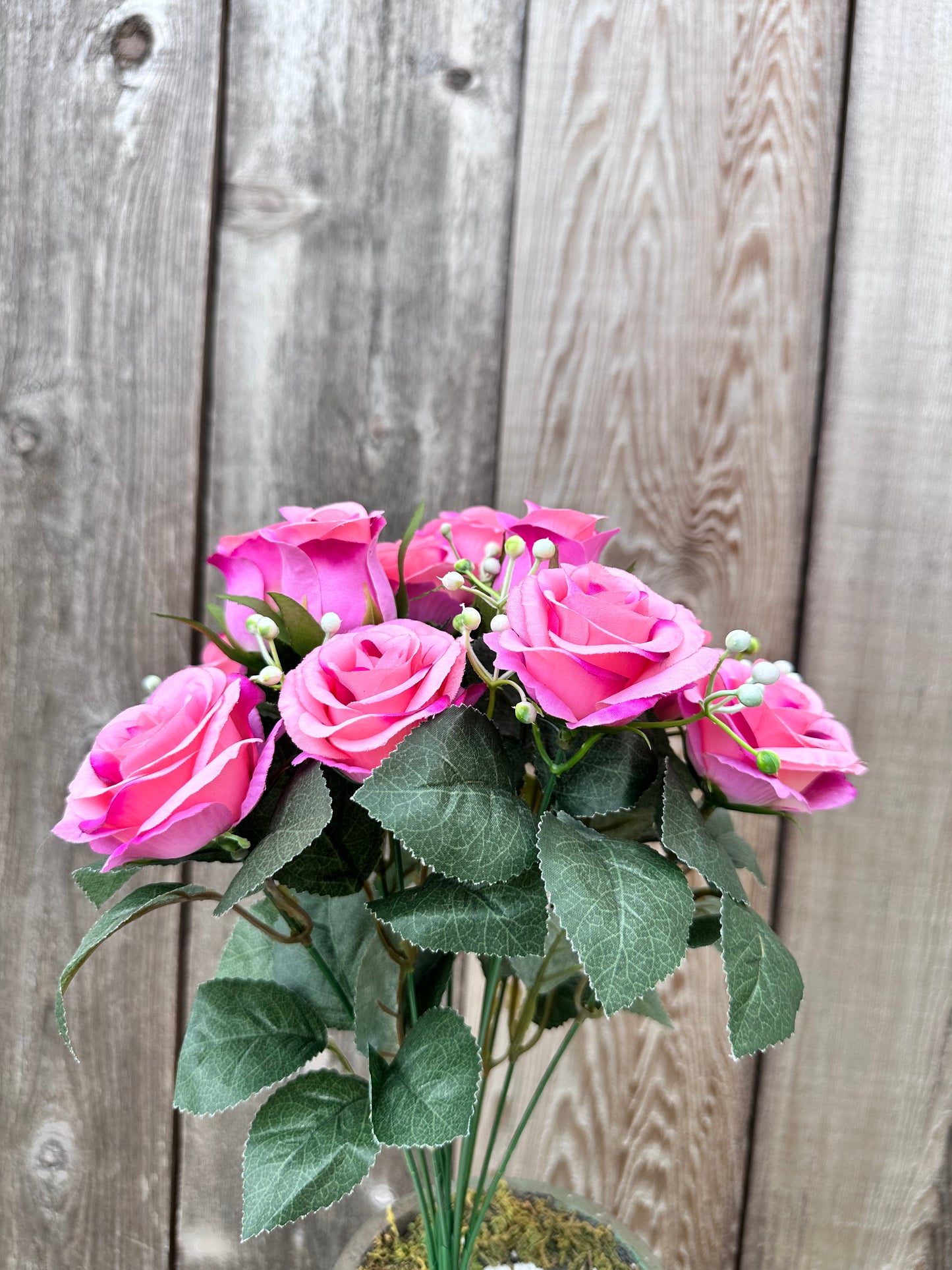 Kery Rose Bush 35164MV