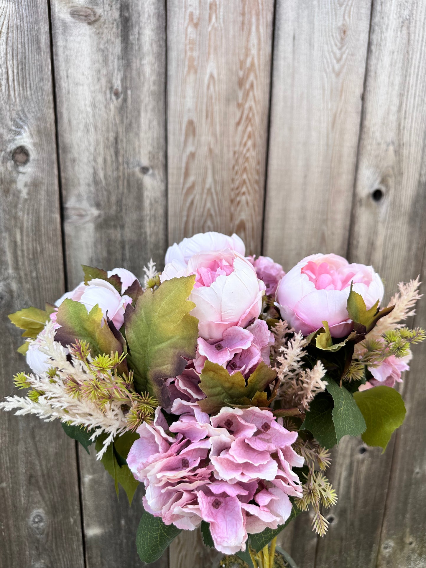Peony Hydrangea Bush PK 20137-PK