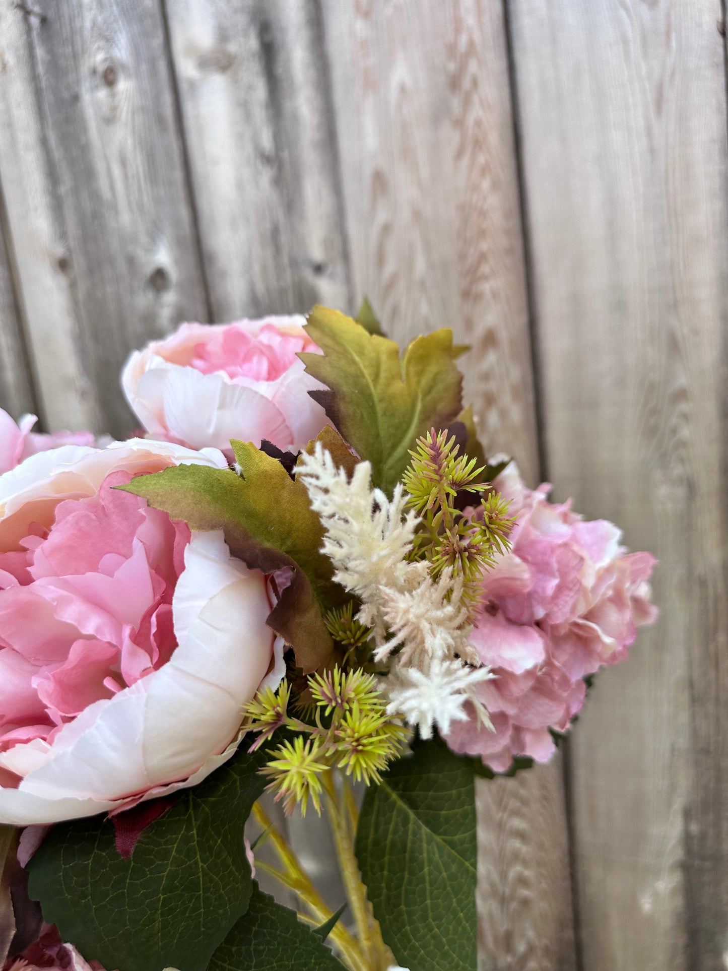 Peony Hydrangea Bush PK 20137-PK