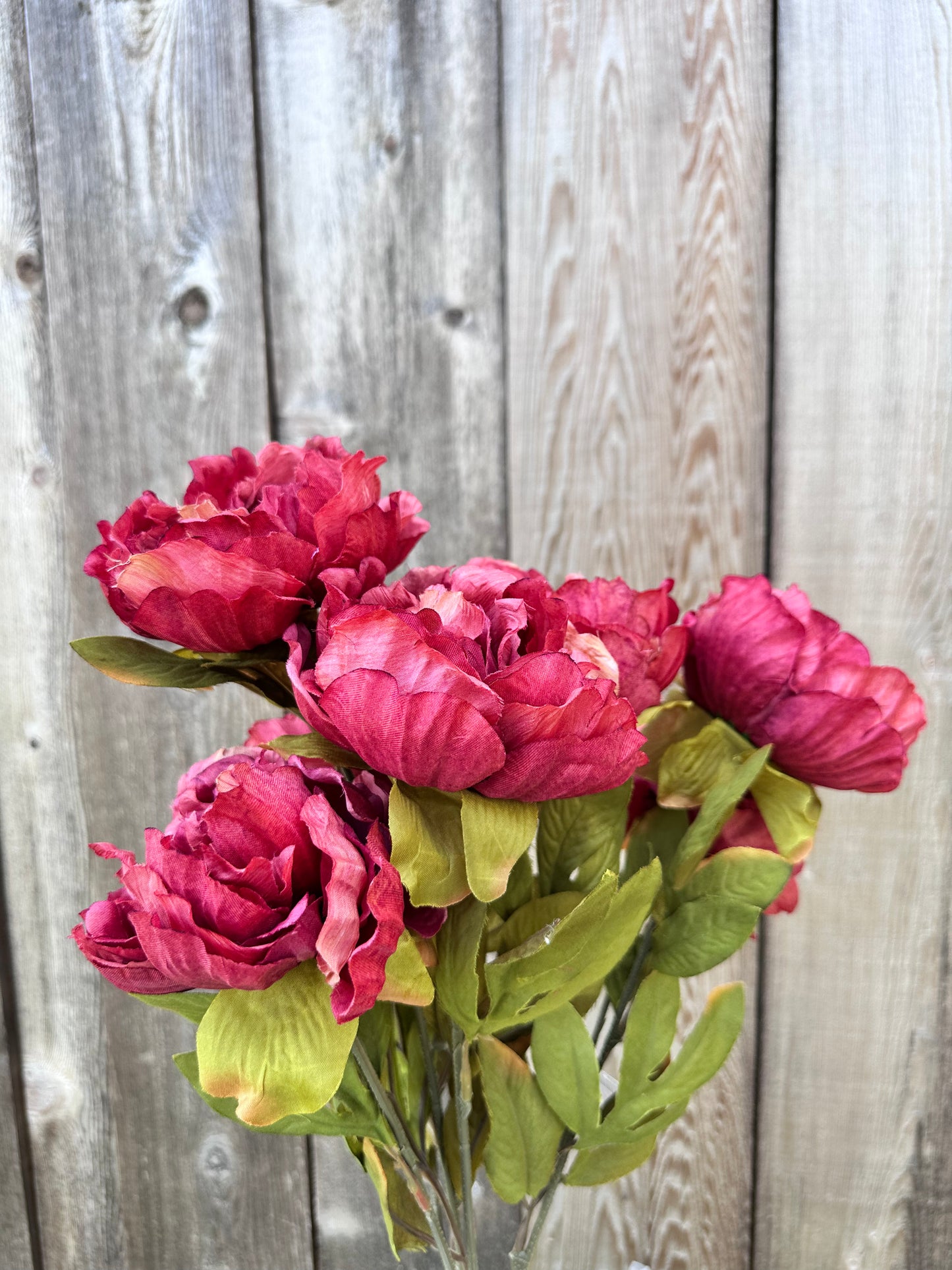 Peony Bush 22" MV 53843-MV