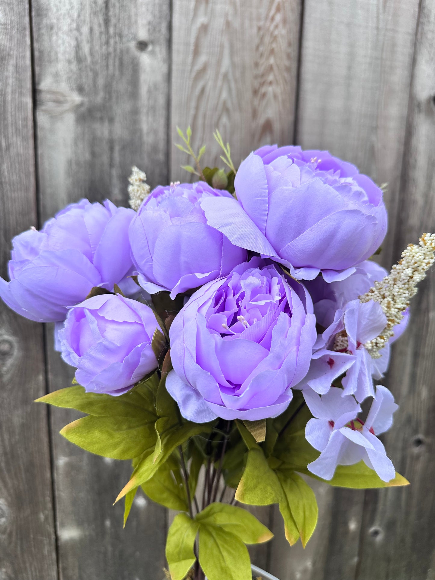 MIX PEONY BUSH 63220-LV