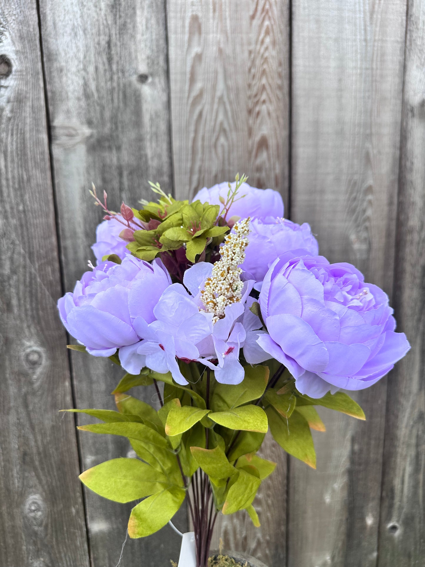 MIX PEONY BUSH 63220-LV