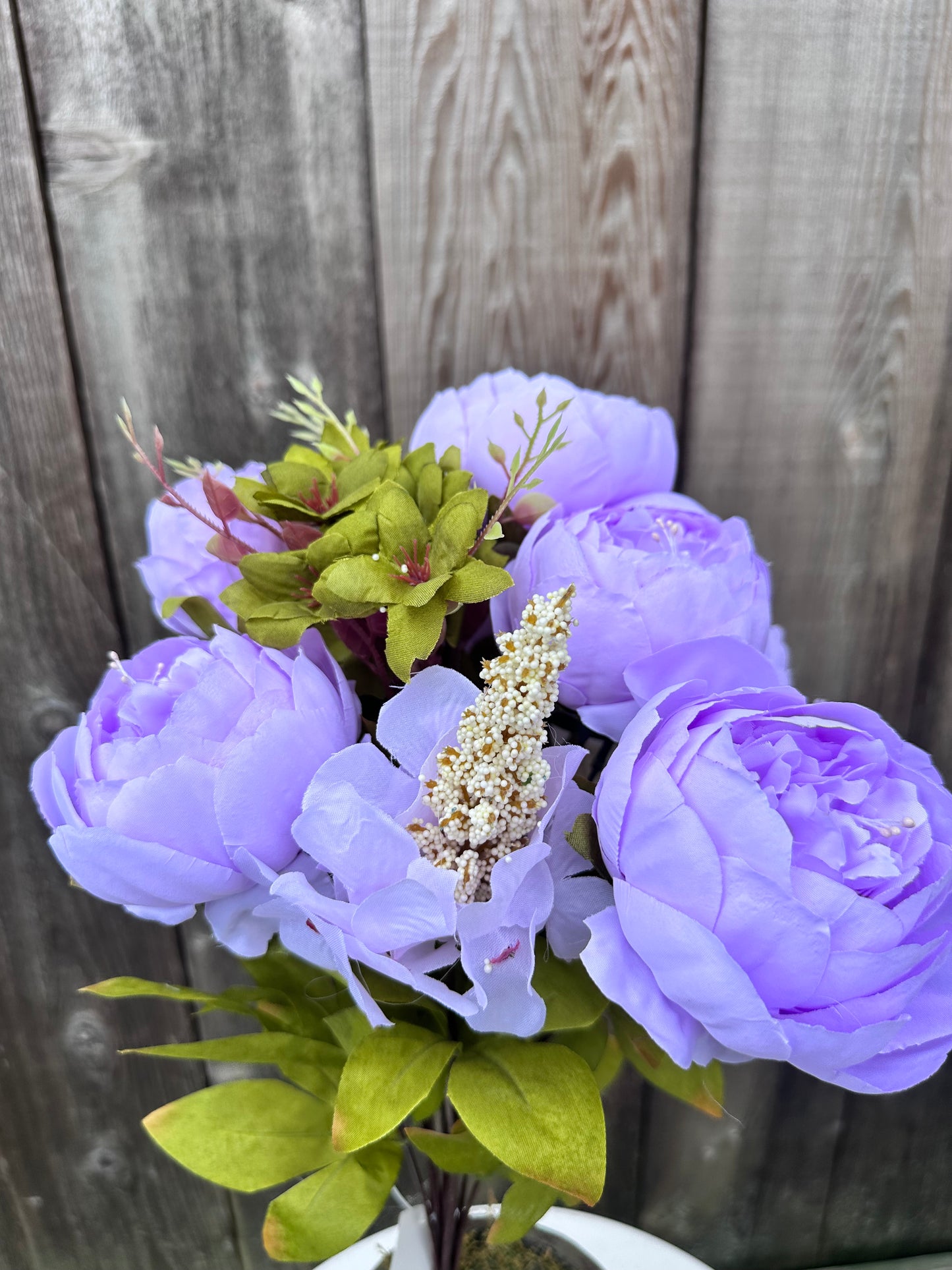 MIX PEONY BUSH 63220-LV