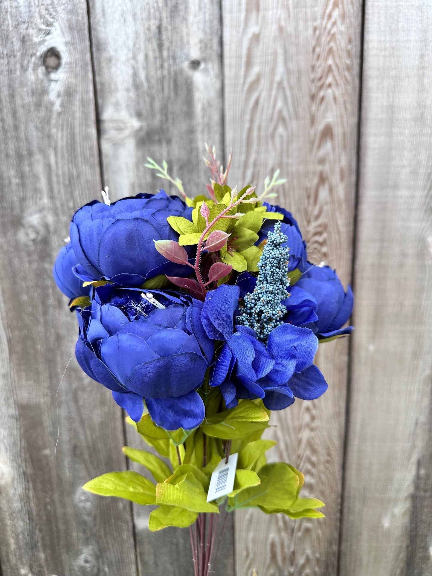 MIX PEONY BUSH 63220-RO.BL