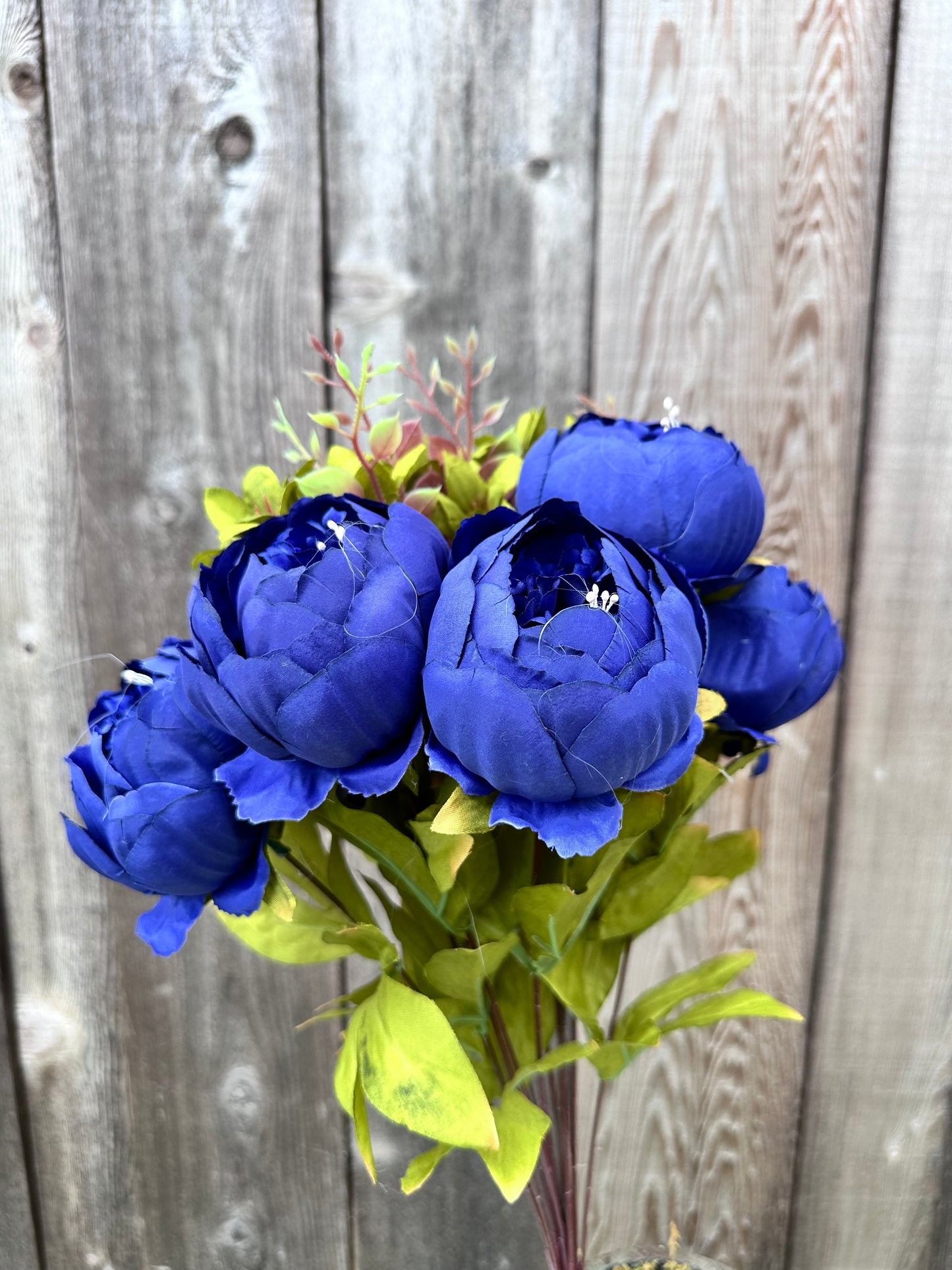 MIX PEONY BUSH 63220-RO.BL